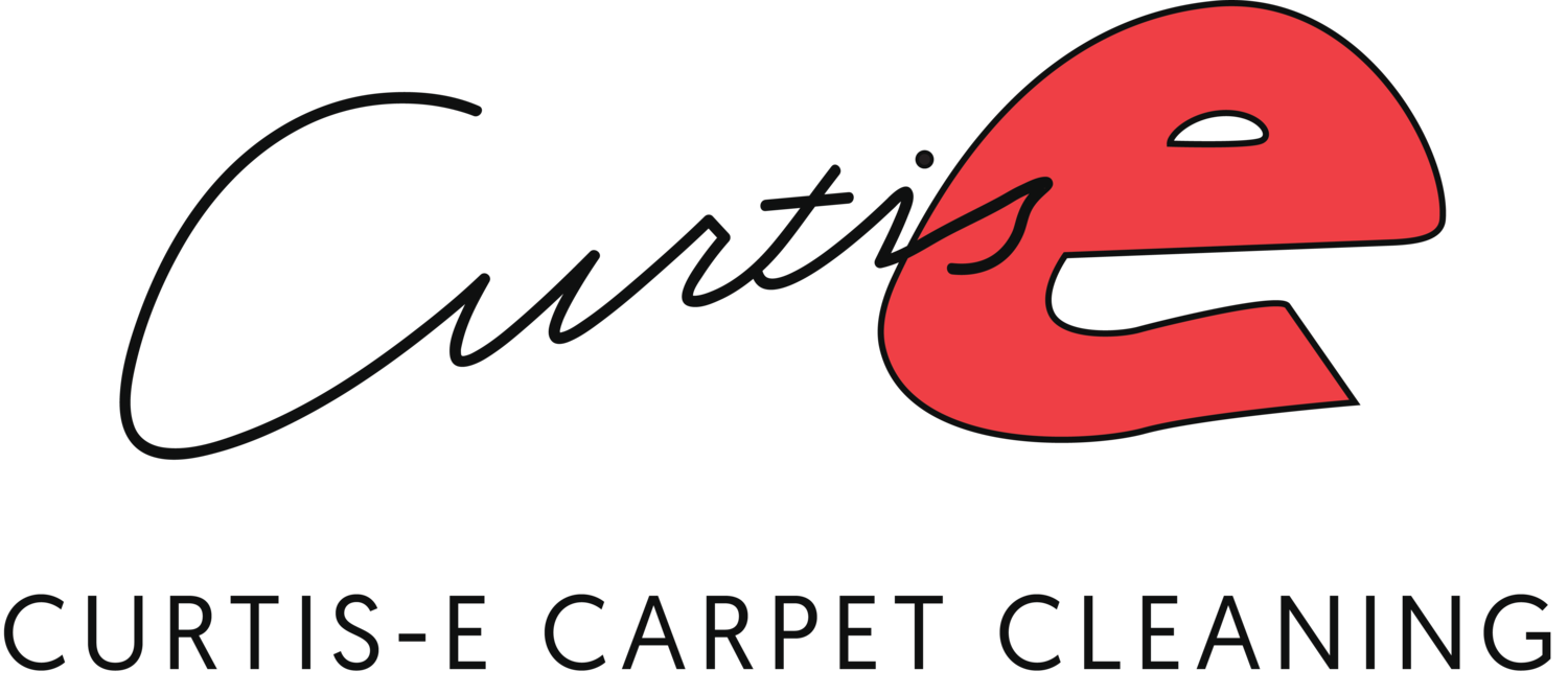 Curtis-E Carpet Cleaning