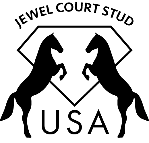 JEWEL COURT STUD USA