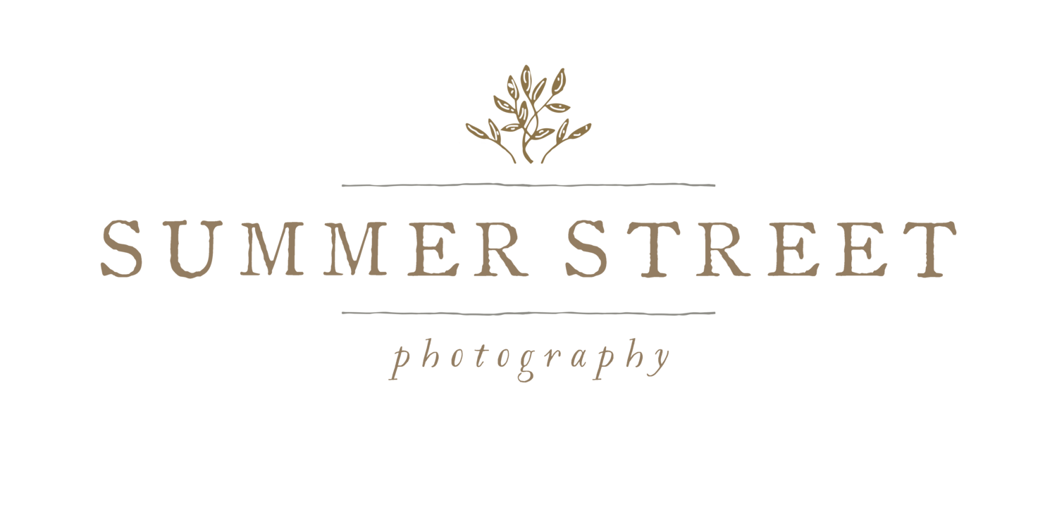Summer Street Photography - Minneapolis and Saint Paul Wedding and Family Photographs