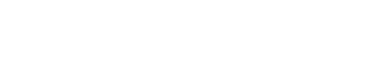 European Motor Services LLC