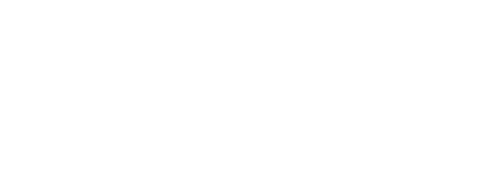 CLIR Skills