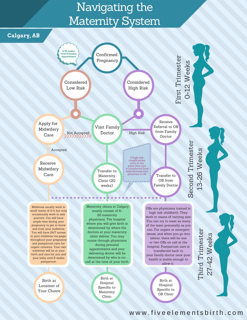 在Calgary Alberta Flow Chart.jpg中导航产妇系统
