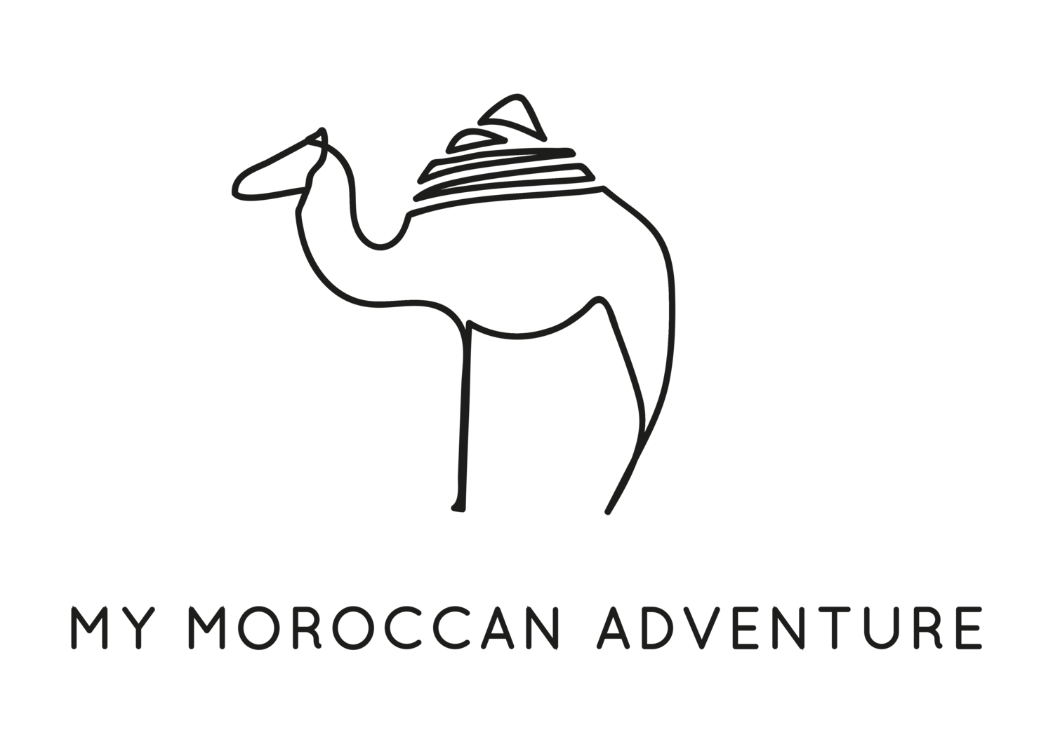 My Moroccan Adventure 