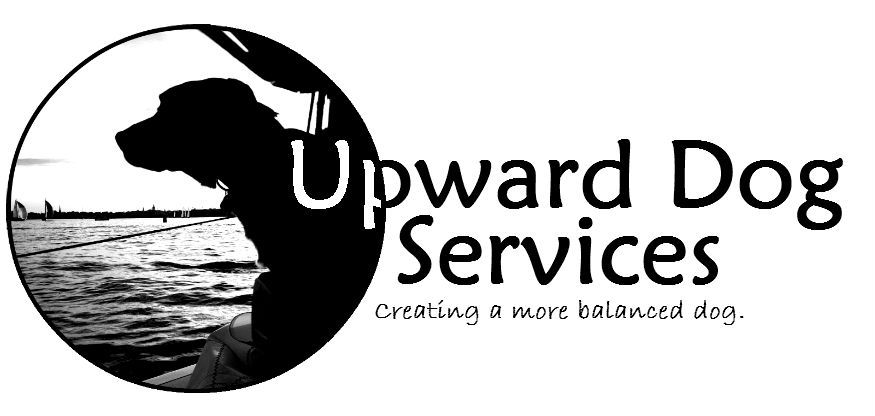 Upward Dog Services