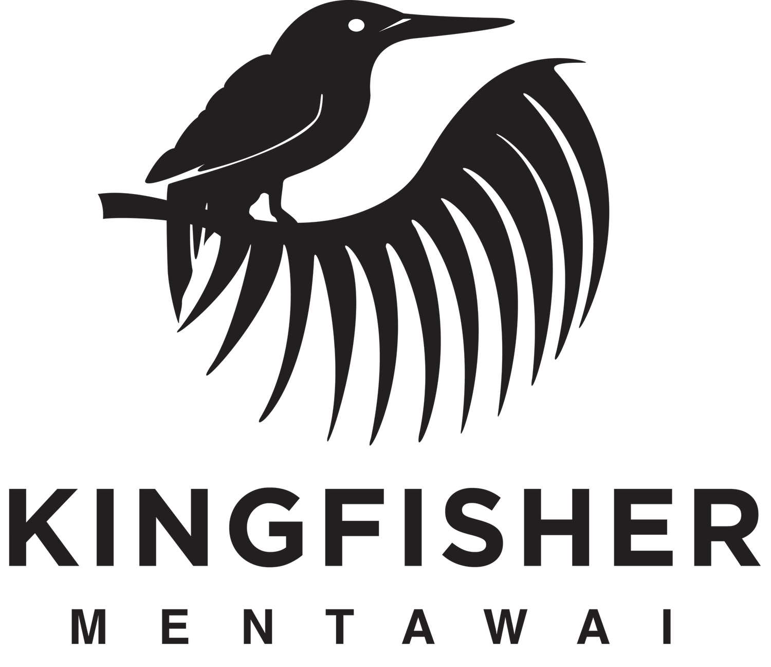 Kingfisher | Surf Resort | Mentawai, Indonesia