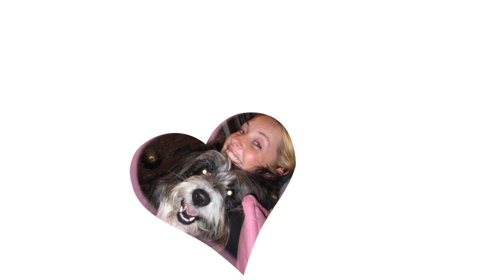 Pet Sitters NZ