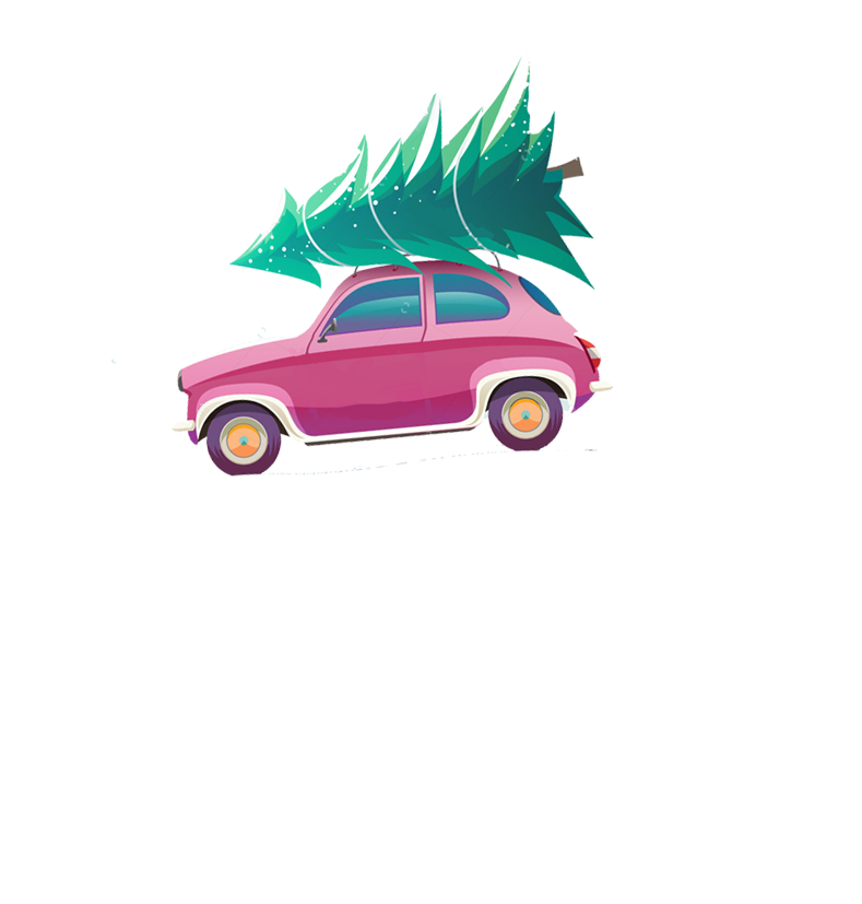 Wicklow Way Christmas Tree Farm