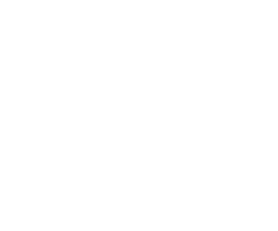 Soleilleux Holdings LLC
