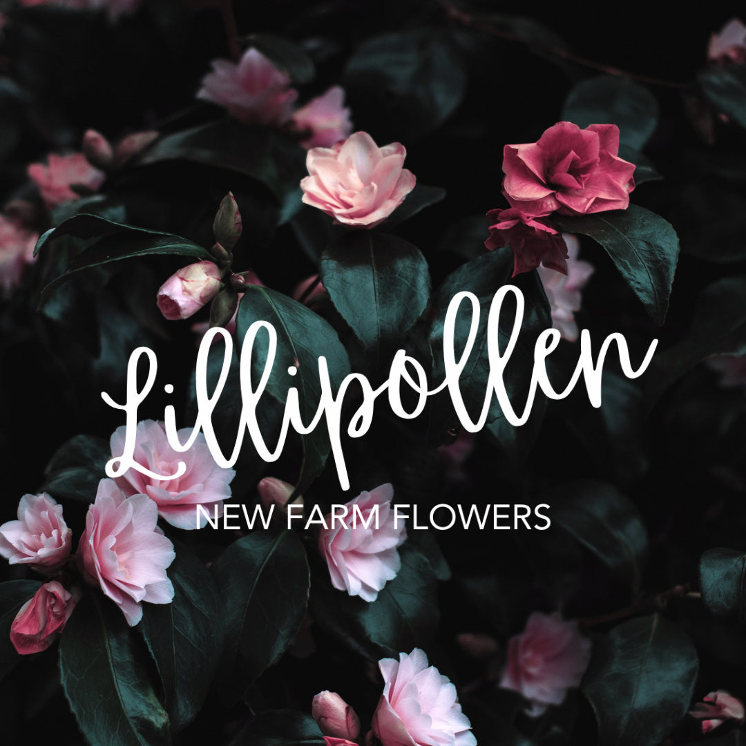 LILLIPOLLEN