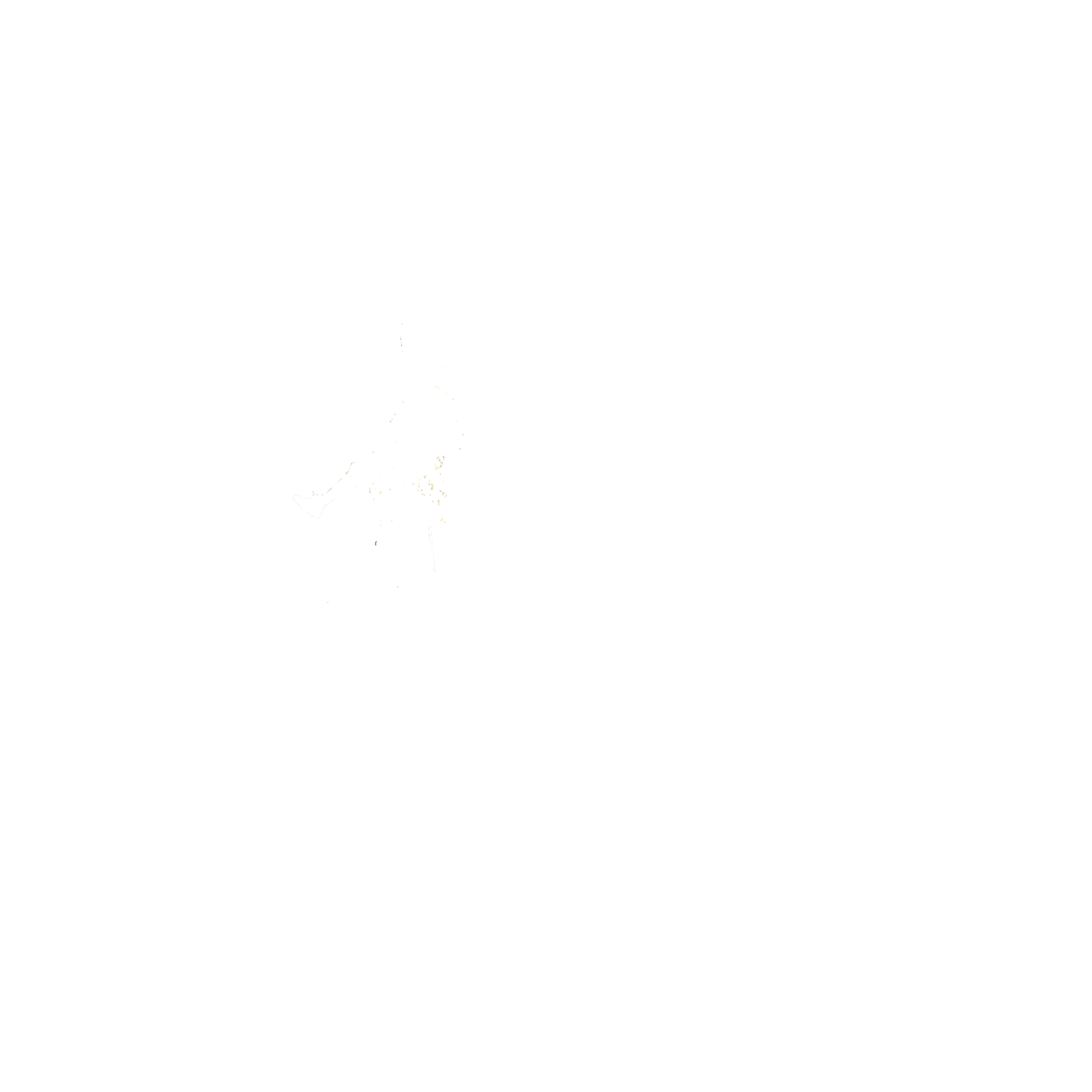Neil Cox Misadventures