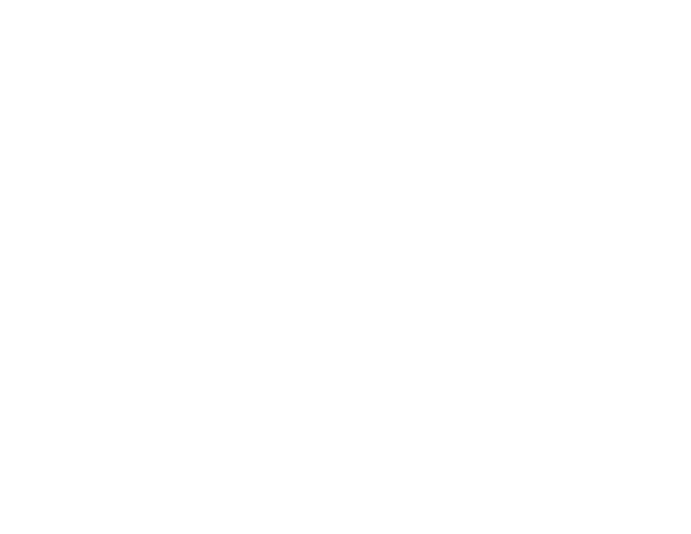 Lauren Painter Inc.
