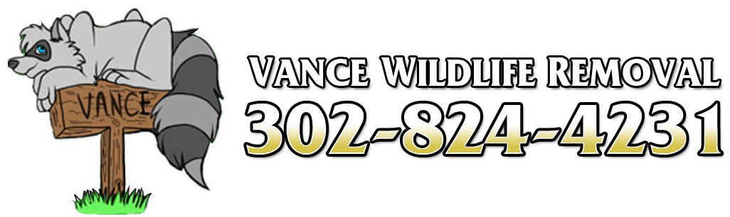 Vance Wildlife Removal Delaware