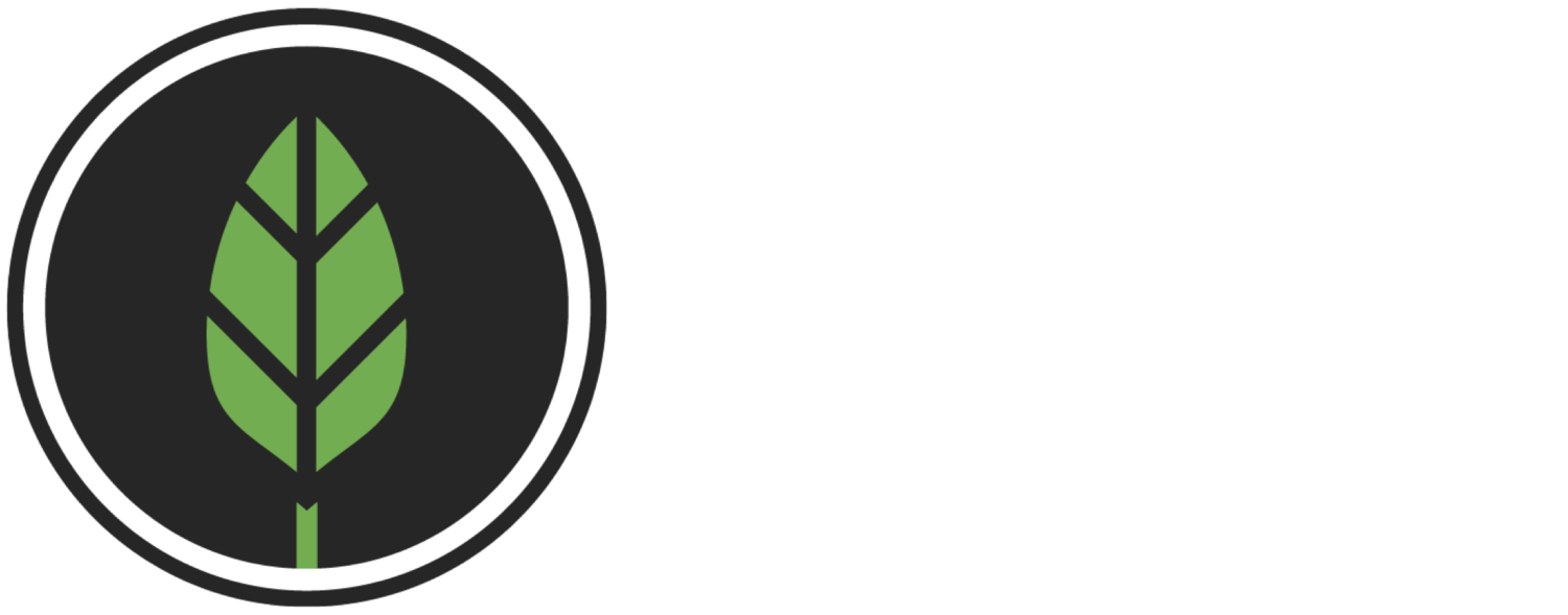 SEEDS CHURCH