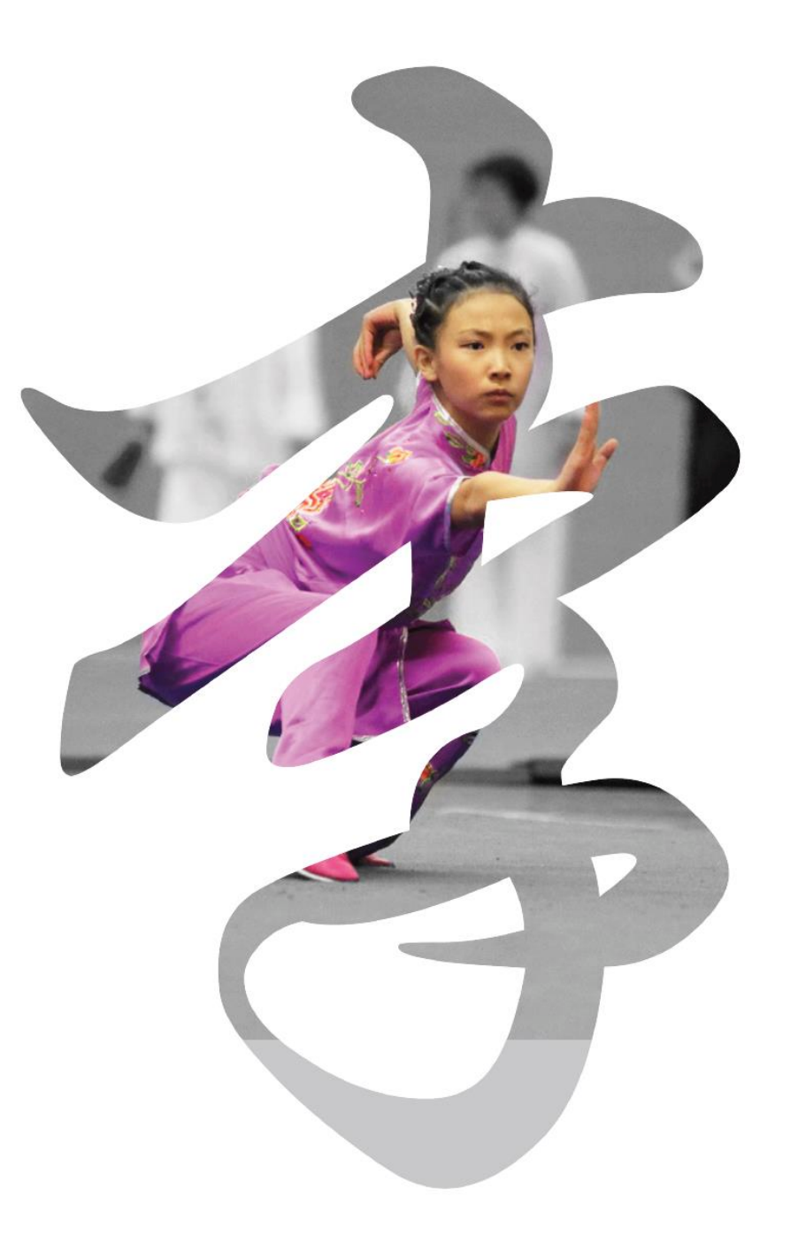 Wayland Li Martial Arts Centre | Wushu | Toronto, Ontario, Canada