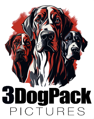 3 Dog Pack Pictures