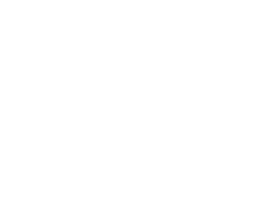 Yellowstone Scenic Tours