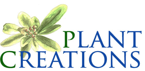 Plant Creations