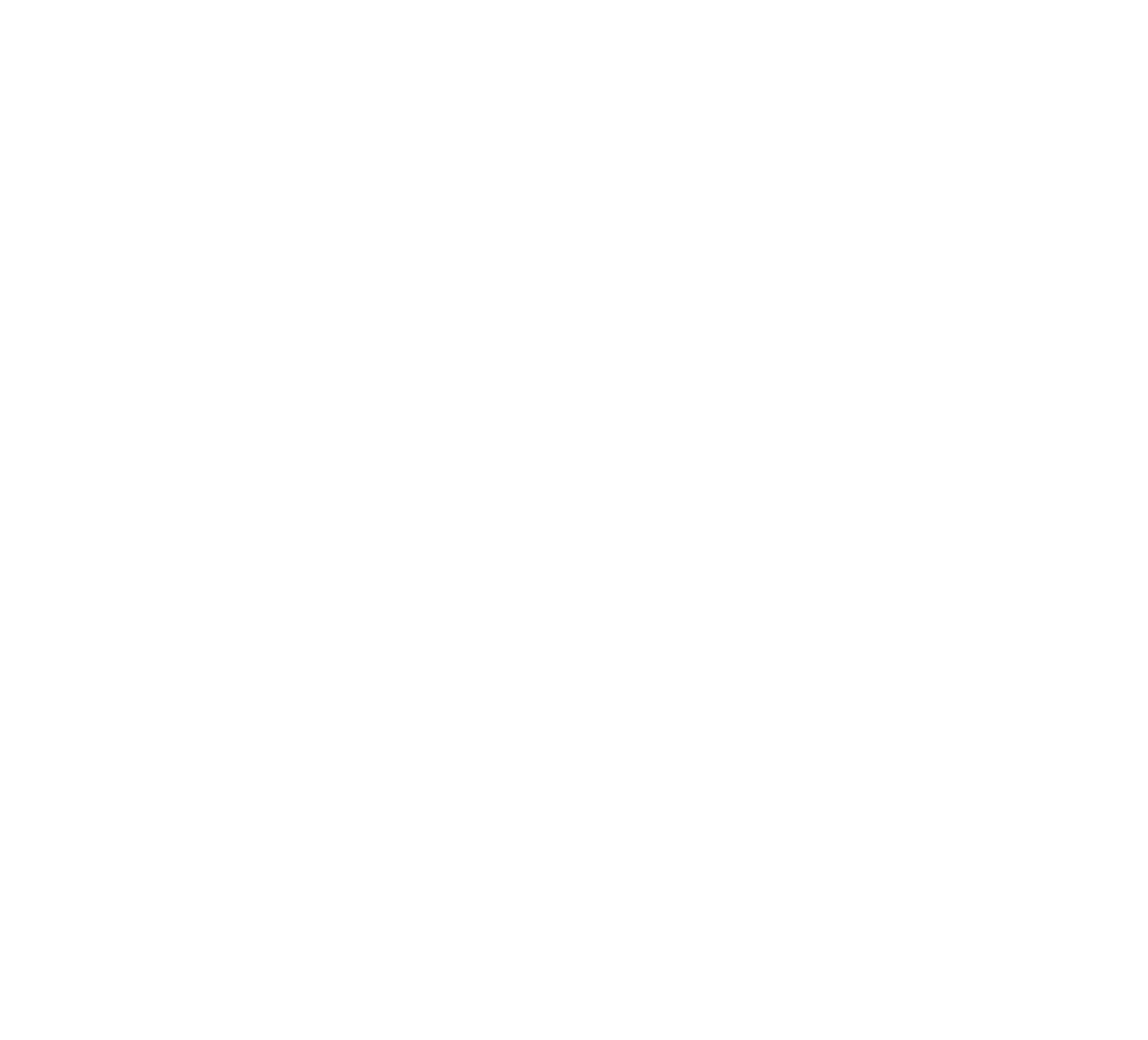 Stephen Ray 