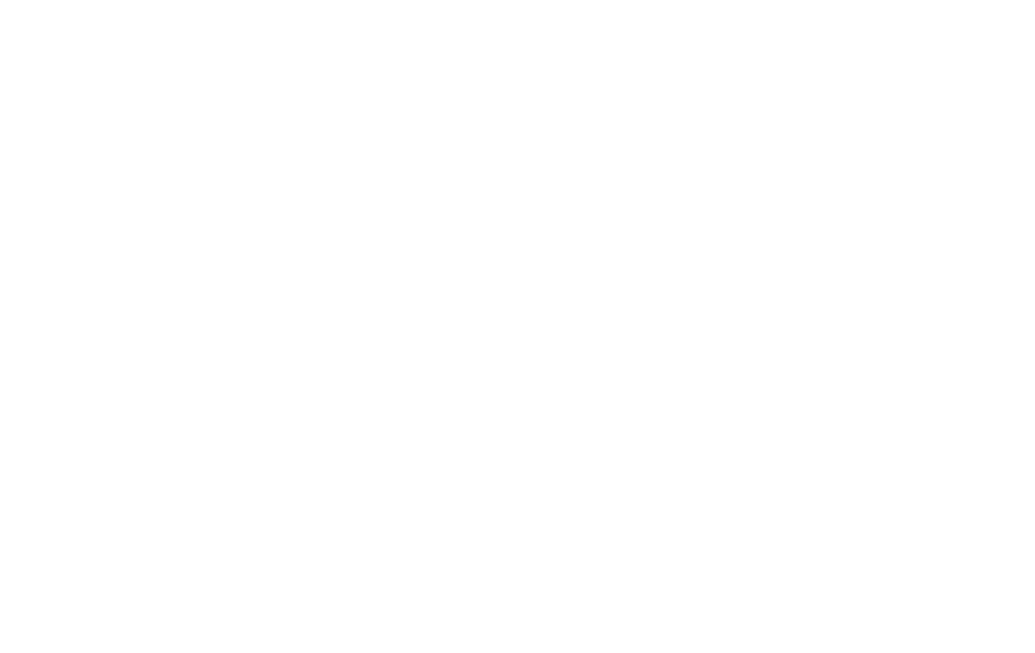 Little Blossom Montessori Academy