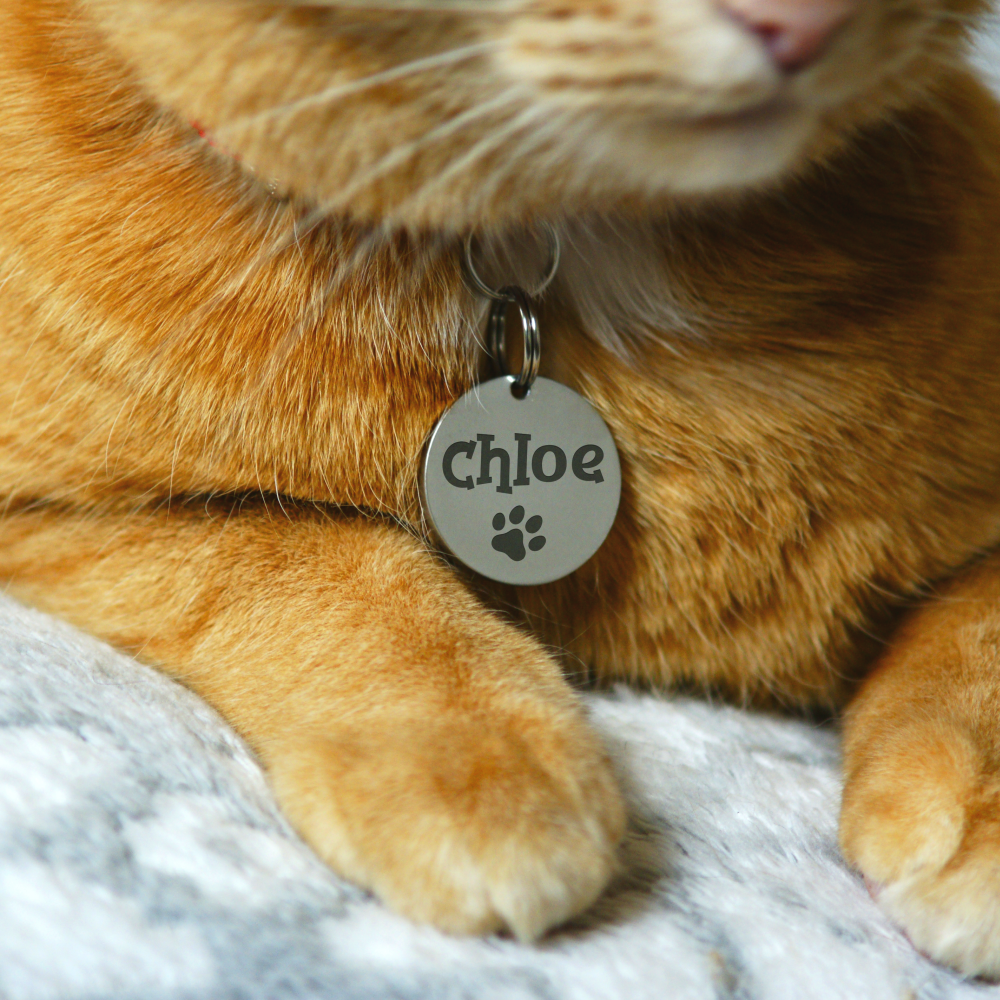 Personalised Engraved STAINLESS STEEL Dog Cat ID Collar Tag Disc Pet Name Tag Glassfulldreams Shop Handmade Jewelry with Passion Made in UK