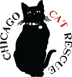 Chicago Cat Rescue