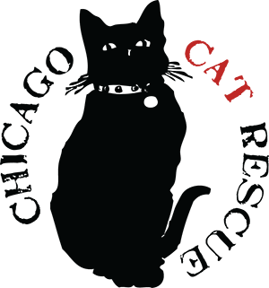 Chicago Cat Rescue