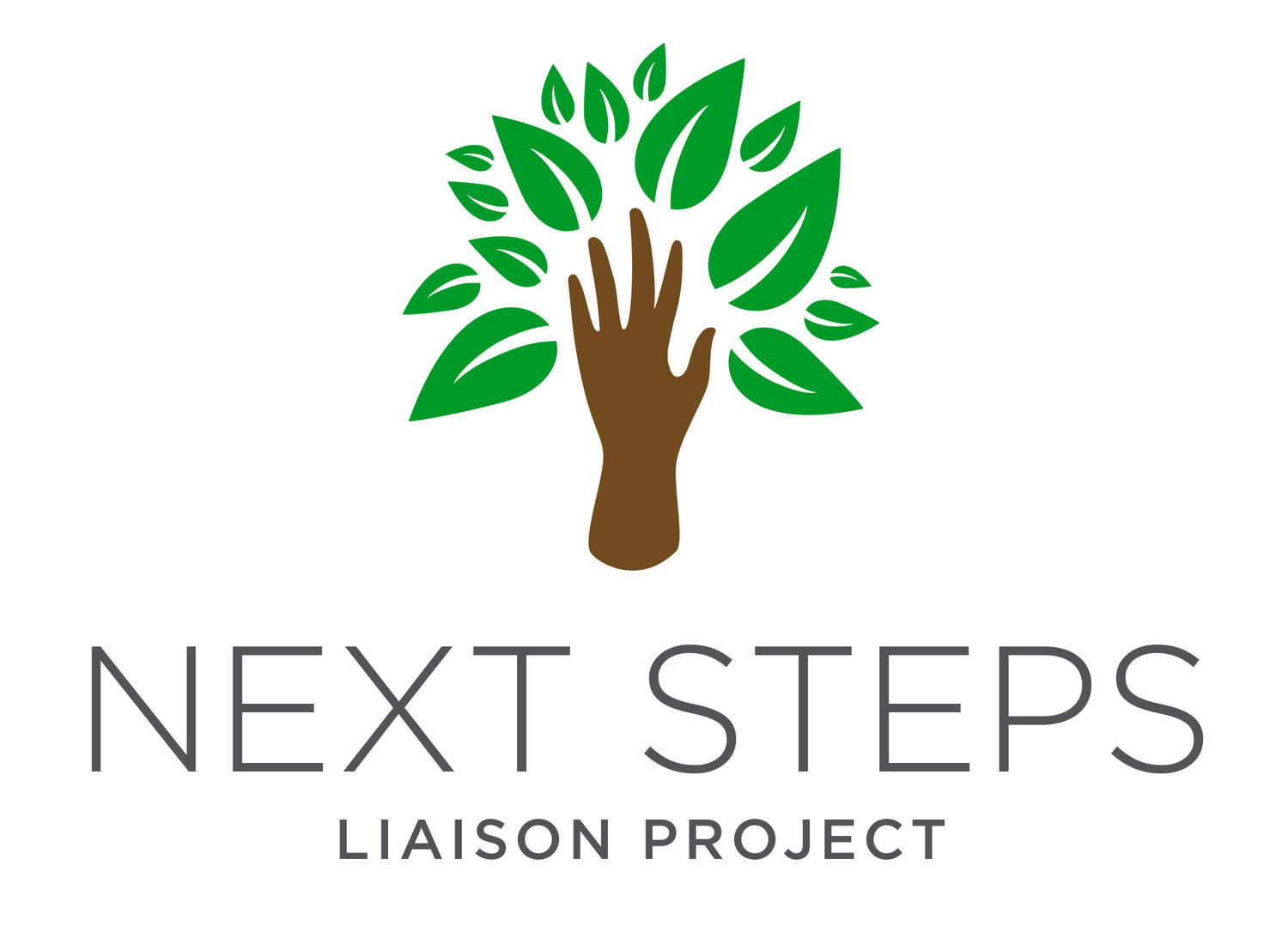 Next Steps Liaison Project
