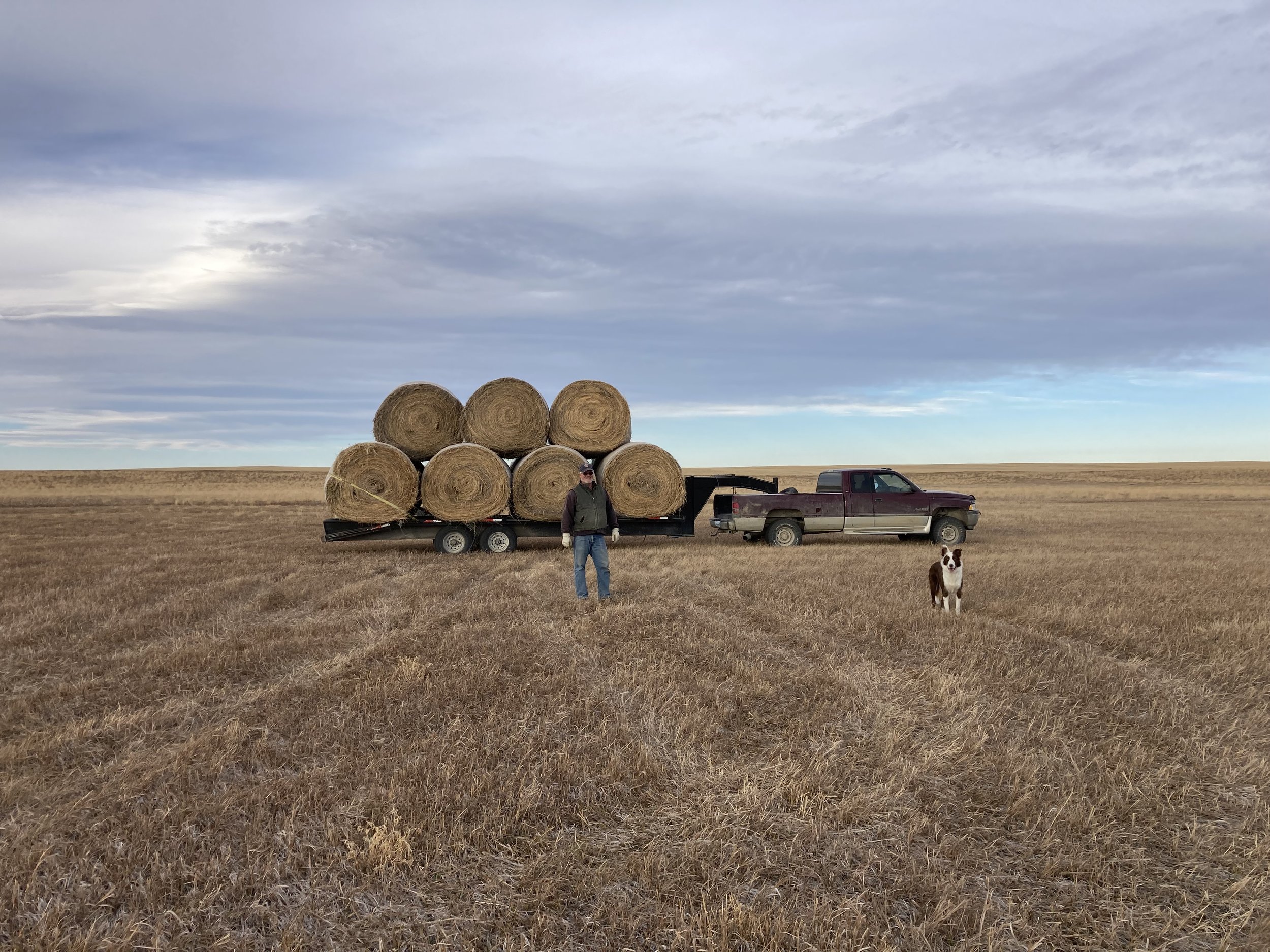 Hauling Hay And Wrecks A Land Of Grass Ranch