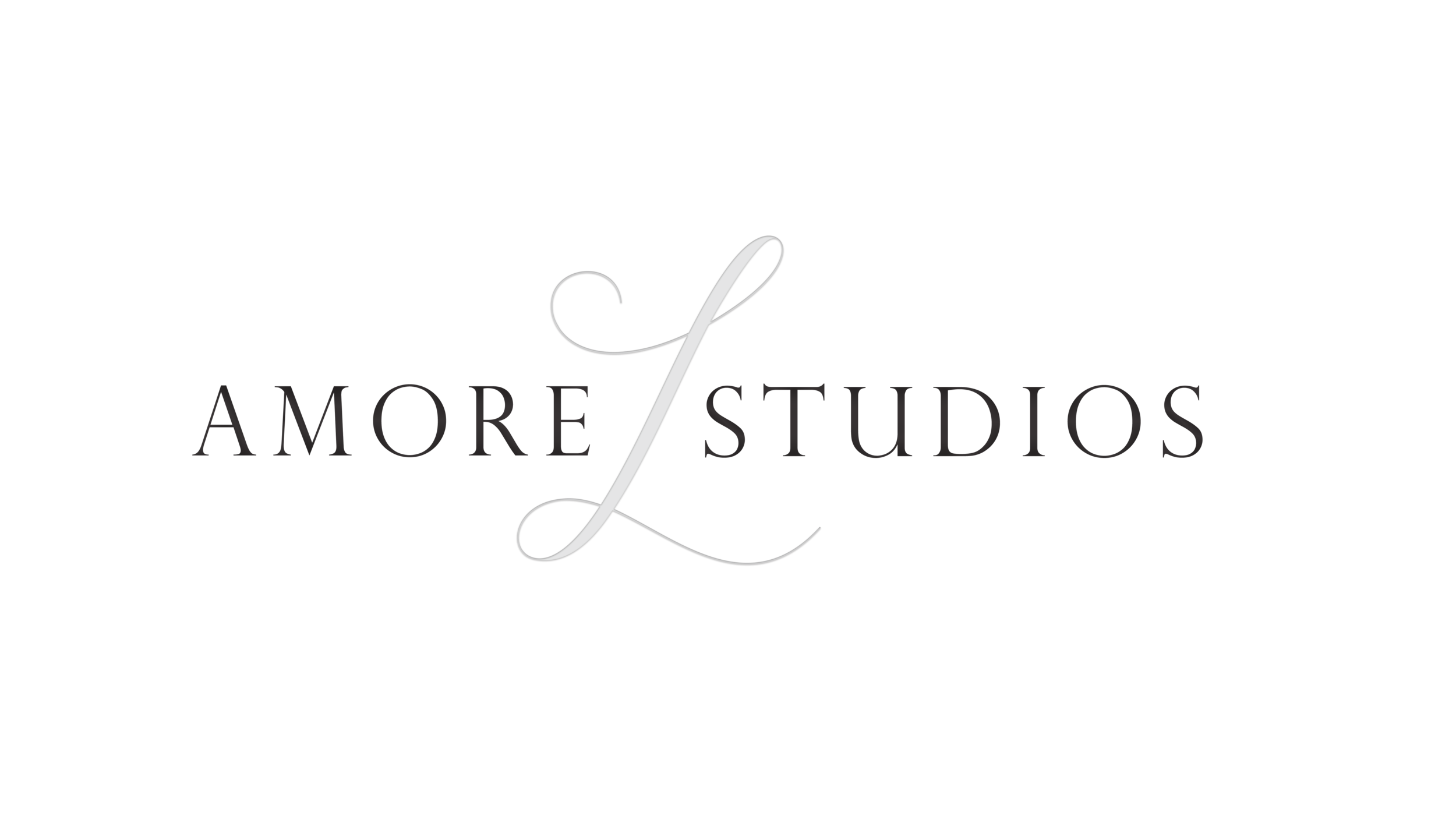 Amore Lux Studios - Minneapolis | St. Paul Photography &amp; Videography Company