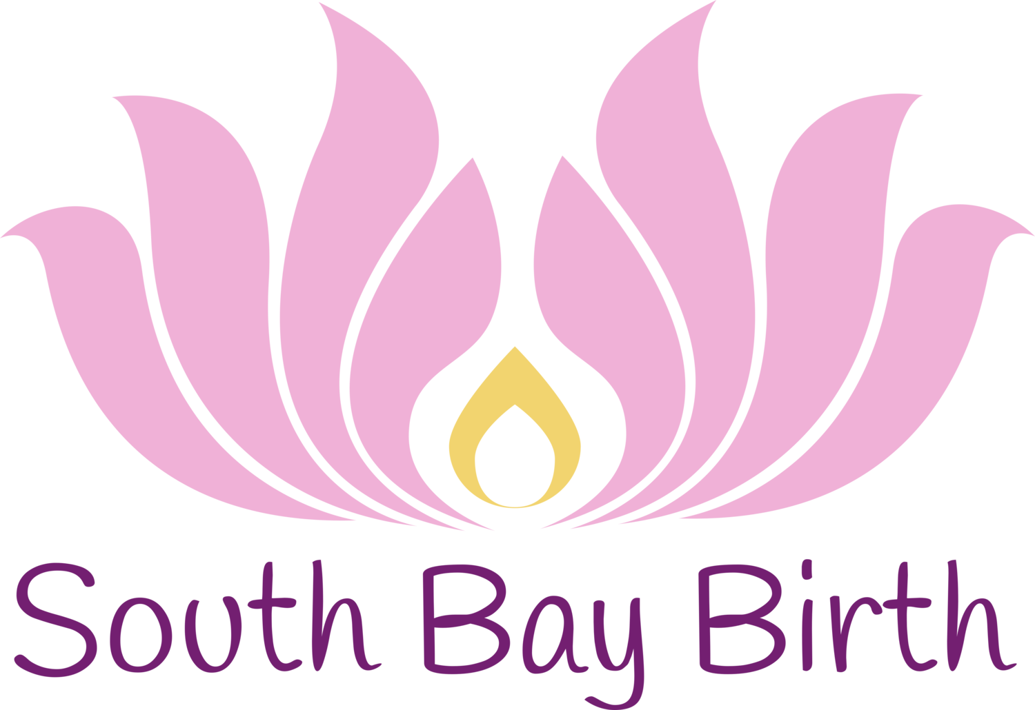 South Bay Birth