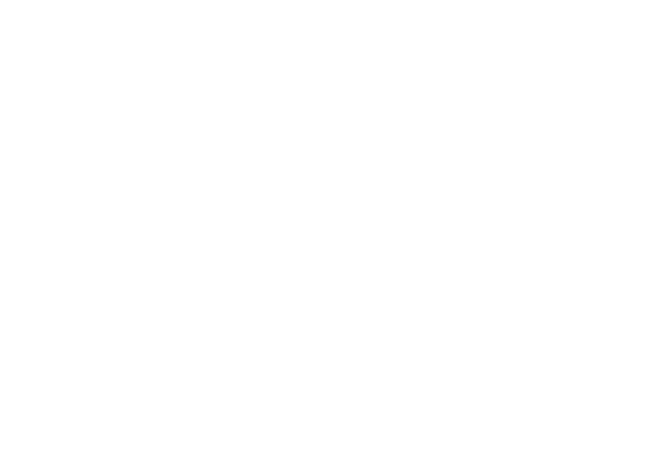 Martens Ministry