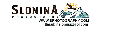North America  Photography Store