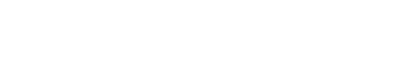 Stephan Partners