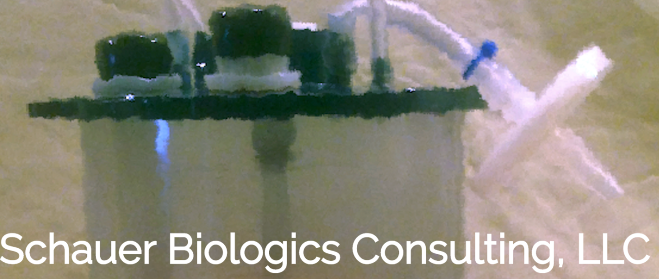Schauer Biologics Consulting