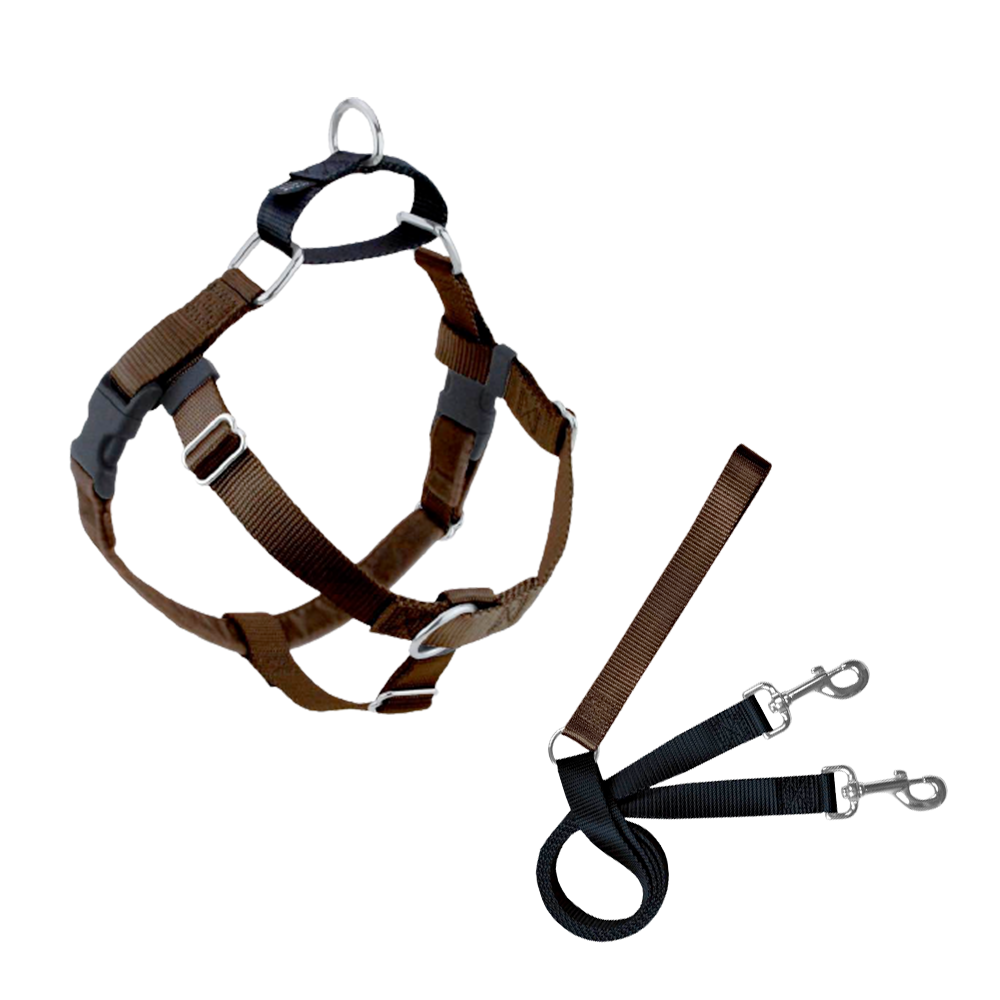 邦楽 DOGGIES febb knzz grow around J-SCHEME 2Houndsdesign Freedom No-Pull Harness + Double Connection