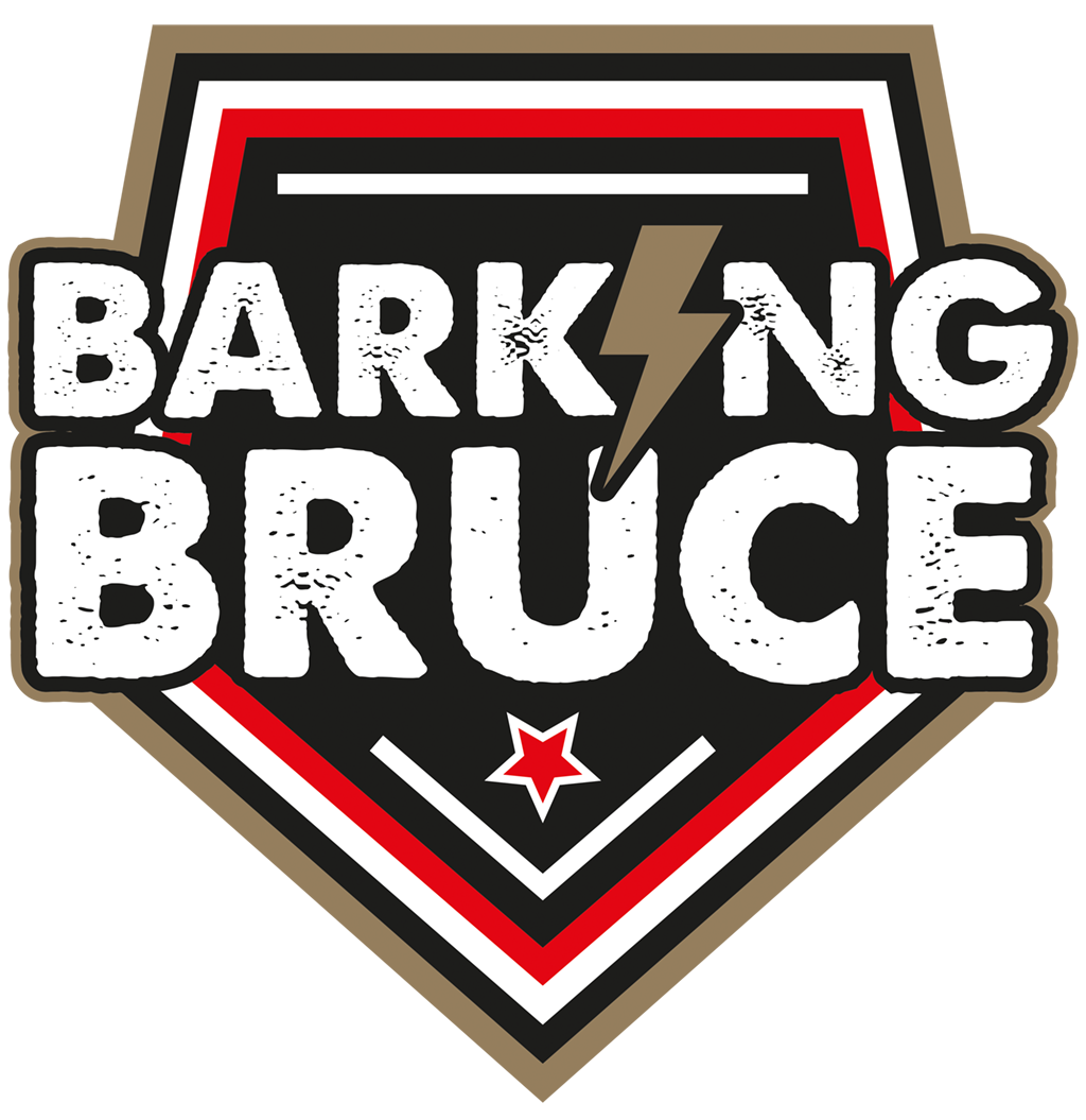 Rock Coverband Barking Bruce