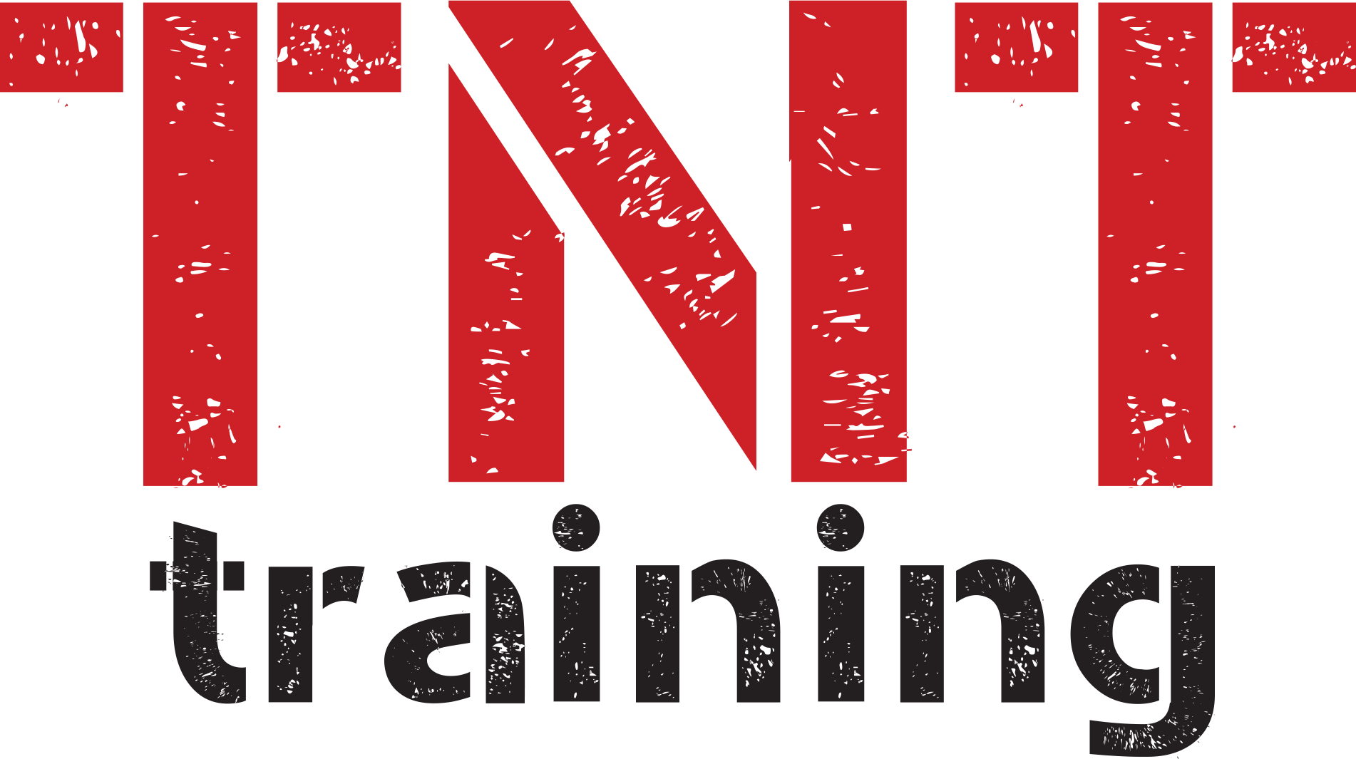 TNT Training