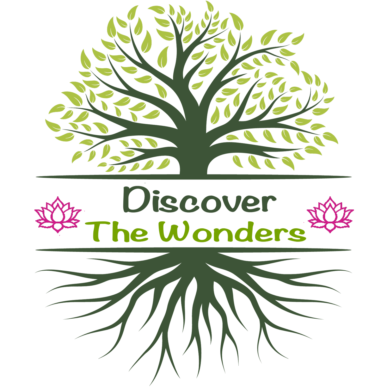 Discover the Wonders 