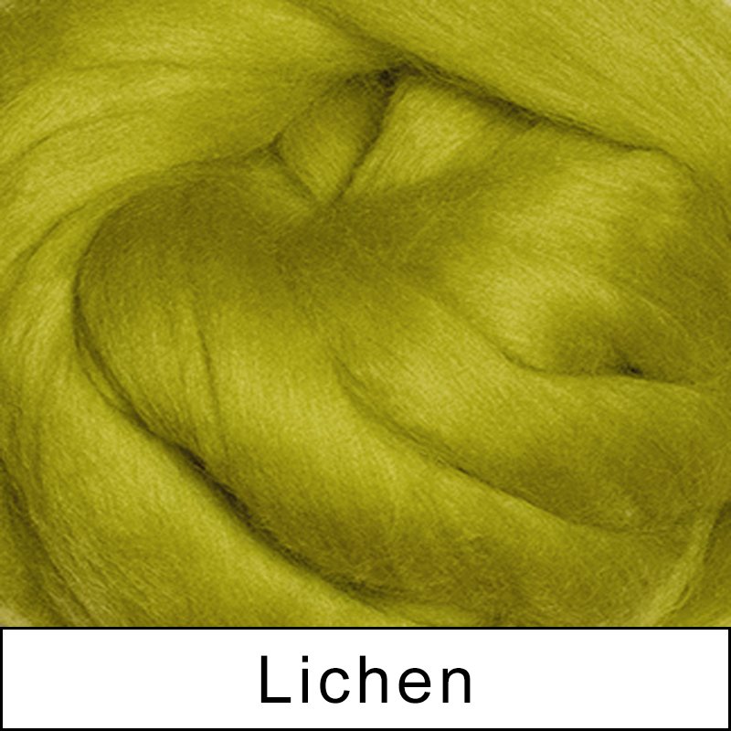 200g Roving Wool for Felting Wool Set, 19 Micron Superfine Merino