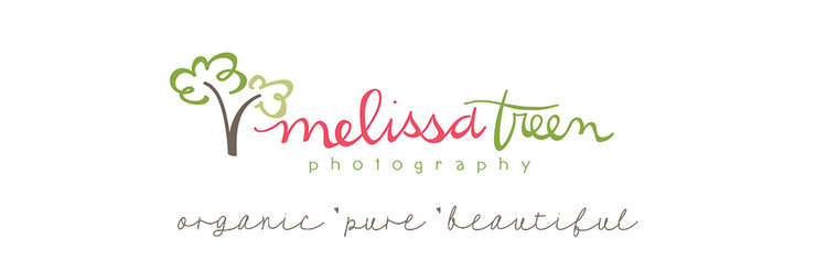 Greensboro Newborn Photographer >> Melissa Treen Photography