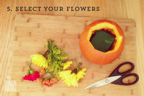 Select the flowers you would like to use in your arrangement and trim the stem, leaving about three to four inches of stem. Place you wet flower sponge inside your pumpkin. Insert the flowers into the sponge until the entire brim is filled.