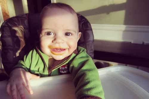 Homemade food gets baby's seal of approval