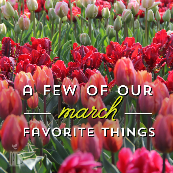 A few of our March favorite things