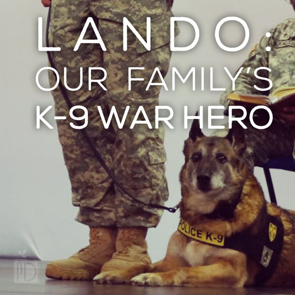 Lando: Our Family’s Canine War Hero