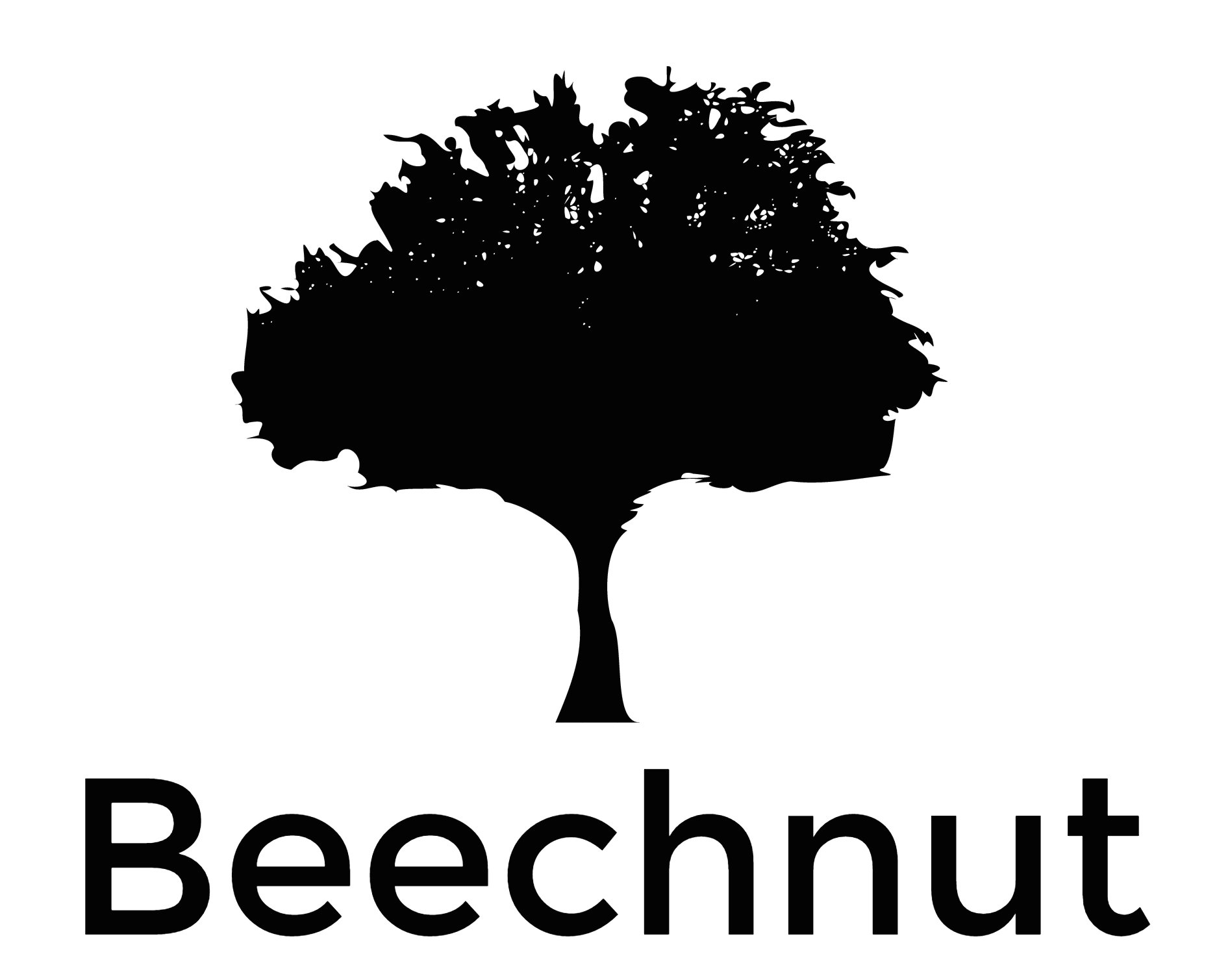 Beechnut Capital Management