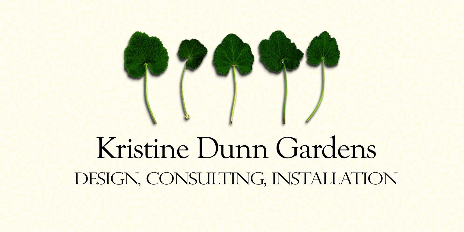 Kristine Dunn Gardens