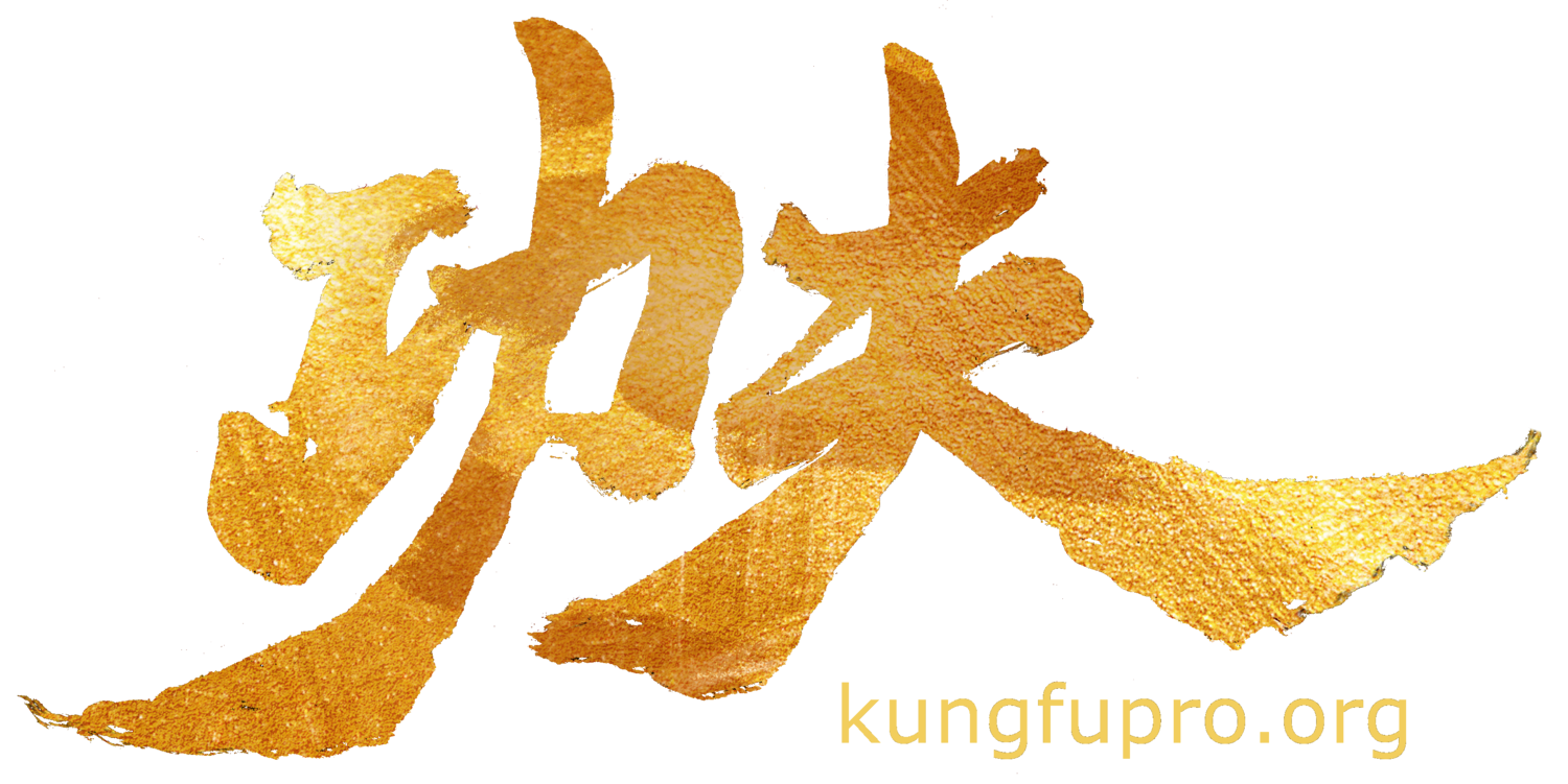 kungfupro.org