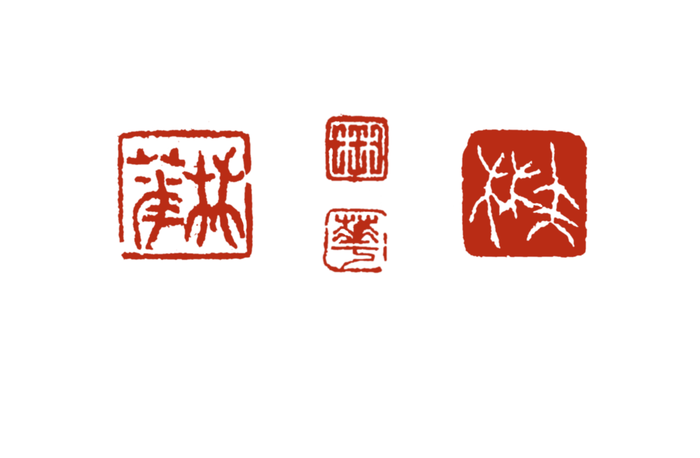 Linda-Ruth Salter