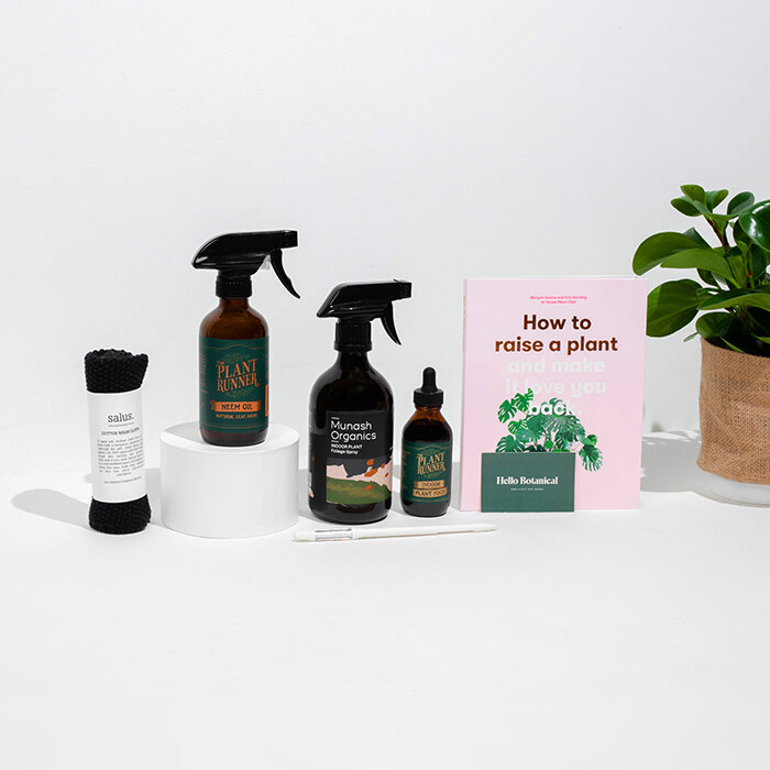 Same Day Melbourne Gift Delivery Service Geelong Gift Delivery Indoor Plant Gifts Delivered