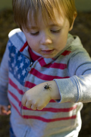 一个年轻的学生在手背上观察一只蜘蛛.